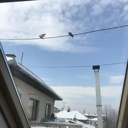 Nest * Sarajevo